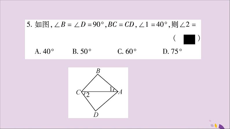 八年级数学上册第十二章全等三角形12-2三角形全等的判定第4课时直角三角形全等的判定（HL）习题课件05