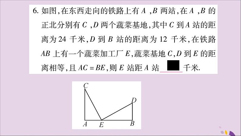 八年级数学上册第十二章全等三角形12-2三角形全等的判定第4课时直角三角形全等的判定（HL）习题课件06