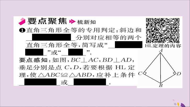 八年级数学上册第十二章全等三角形12-2三角形全等的判定第4课时用“HL”判定直角三角形全等课件02