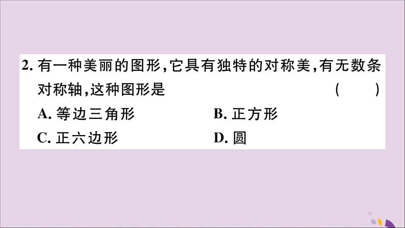 八年级数学上册第十三章轴对称小结与复习习题讲评课件（新版）新人教版第3页