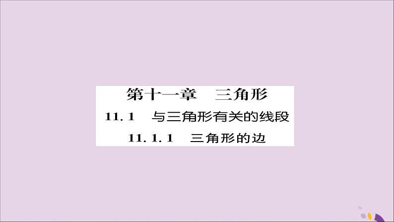 八年级数学上册第十一章三角形11-1与三角形有关的线段11-1-1三角形的边练习课件01