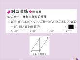 八年级数学上册第十一章三角形11-2与三角形有关的角11-2-1第2课时直角三角形的两个锐角互余课件