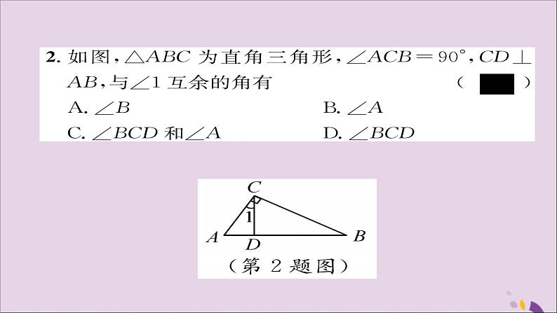 八年级数学上册第十一章三角形11-2与三角形有关的角11-2-1第2课时直角三角形的两个锐角互余课件第6页