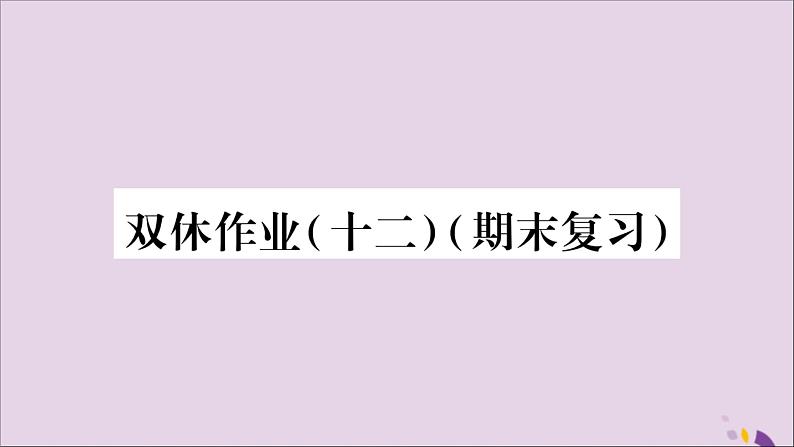 八年级数学上册双休作业（12）习题课件第1页