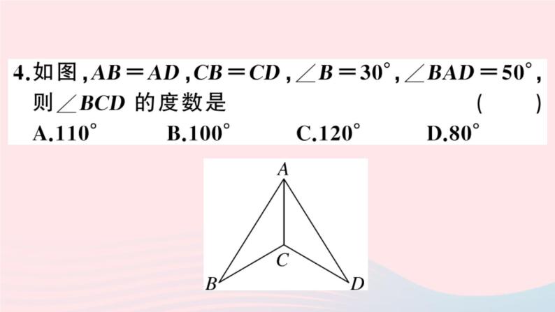 八年级数学上册综合滚动练习全等三角形的性质与判定课件05