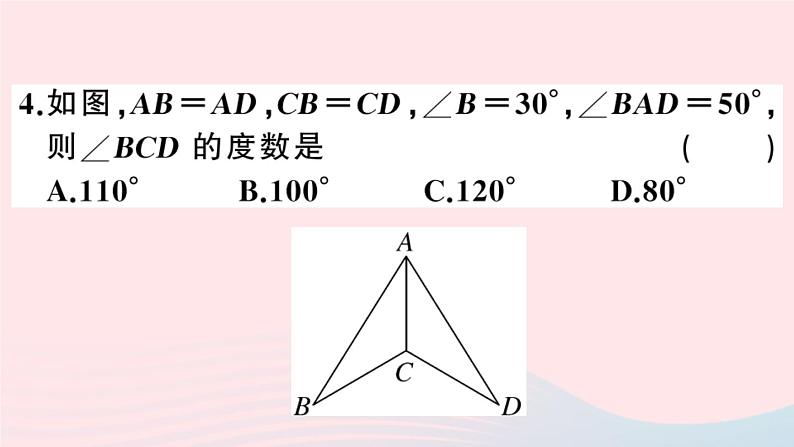 八年级数学上册综合滚动练习全等三角形的性质与判定课件05