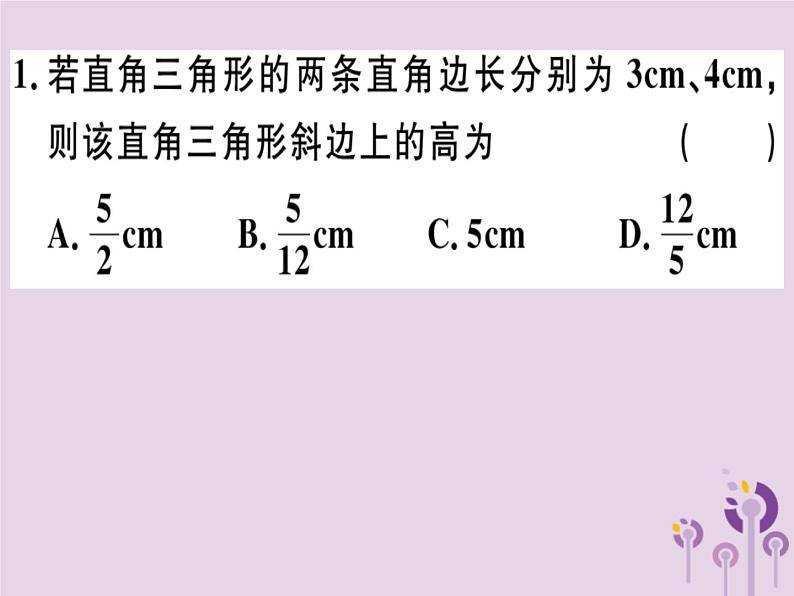 2019春八年级数学下册2微专题勾股定理与面积问题（期末热点）习题课件02