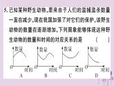 2019春八年级数学下册第十九章《一次函数》19-1变量与函数19-1-2-1函数的图象习题课件