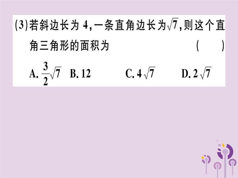 2019春八年级数学下册第十七章《勾股定理》17-1勾股定理17-1-1勾股定理习题课件07