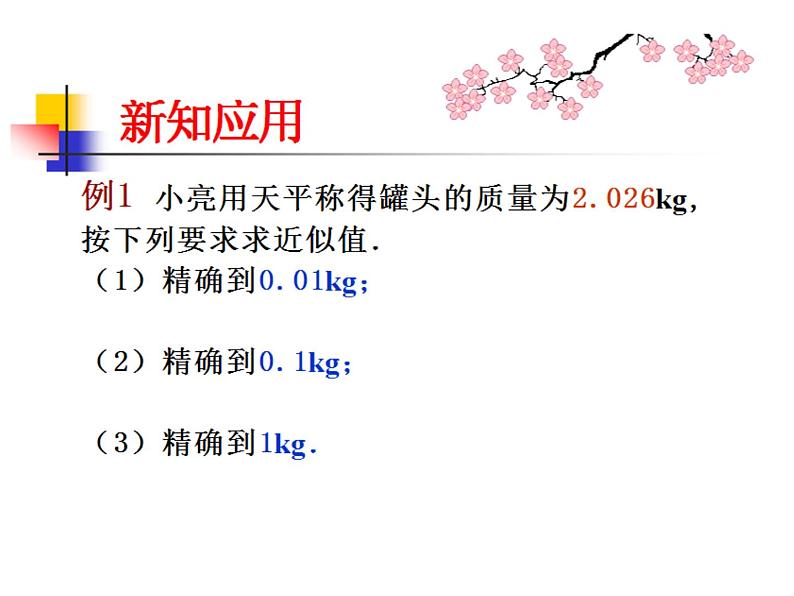 八年级上数学课件《近似数》 (16)_苏科版06