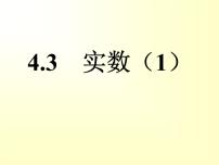 初中数学苏科版八年级上册4.3 实数示范课ppt课件