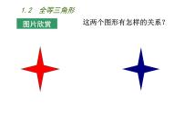 数学八年级上册1.2 全等三角形图片课件ppt