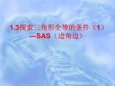 八年级上数学课件《探索三角形全等的条件》 (4)_苏科版