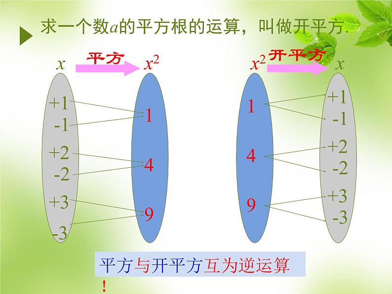 6.1 平方根（3）PPT课件07