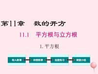 数学八年级上册1 平方根图片ppt课件