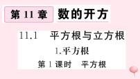 初中数学华师大版八年级上册1 平方根习题ppt课件