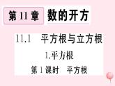 2019秋八年级数学上册第11章数的开方11-1平方根与立方根1平方根第1课时平方根习题课件