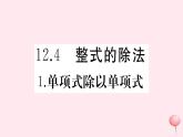 2019秋八年级数学上册第12章整式的乘除12-4整式的除法1单项式除以单项式习题课件