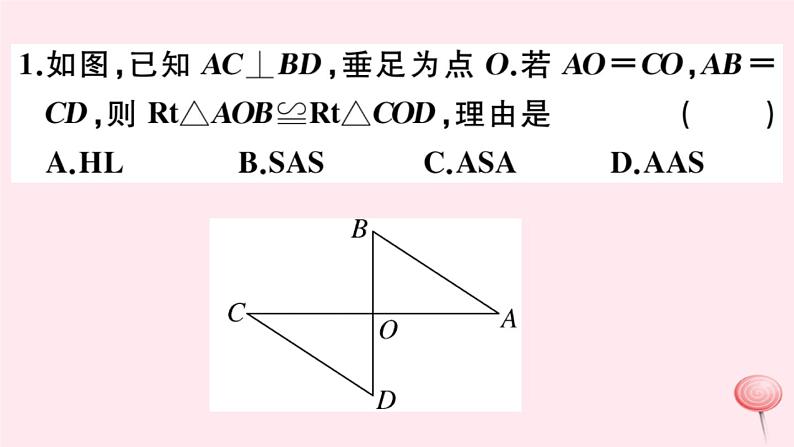 2019秋八年级数学上册第13章全等三角形13-2三角形全等的判定6斜边直角边习题课件03