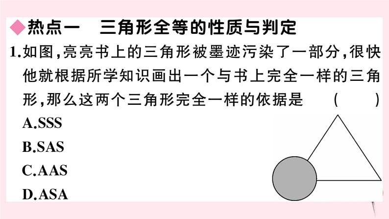 2019秋八年级数学上册第13章全等三角形本章热点专练习题课件02