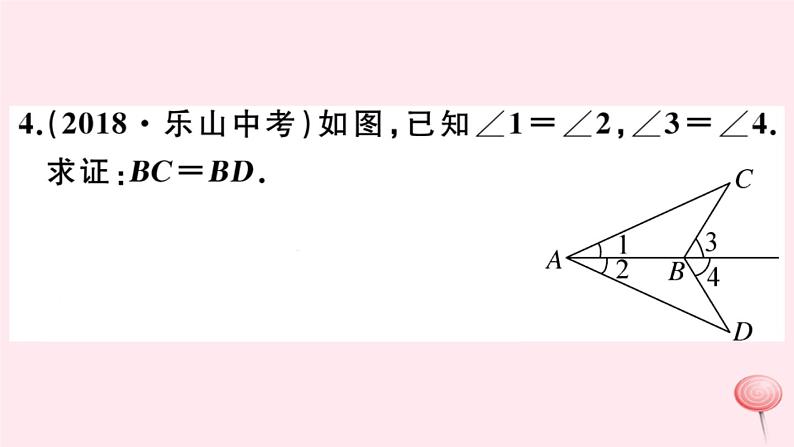 2019秋八年级数学上册第13章全等三角形本章热点专练习题课件05