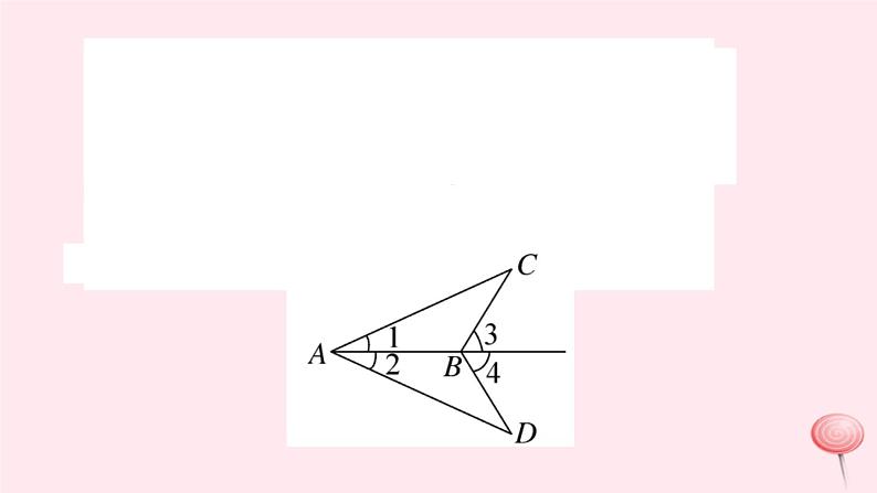 2019秋八年级数学上册第13章全等三角形本章热点专练习题课件06