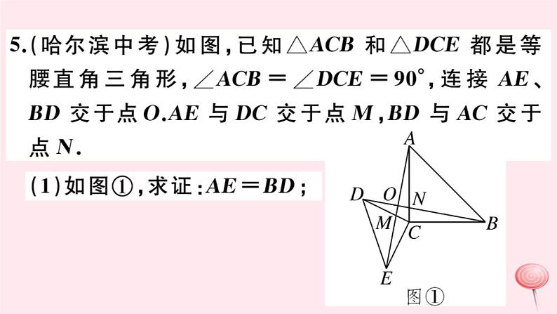 2019秋八年级数学上册第13章全等三角形本章热点专练习题课件07