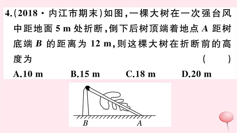 2019秋八年级数学上册第14章勾股定理14-1勾股定理1直角三角形三边的关系第2课时勾股定理的验证及简单应用习题课件08