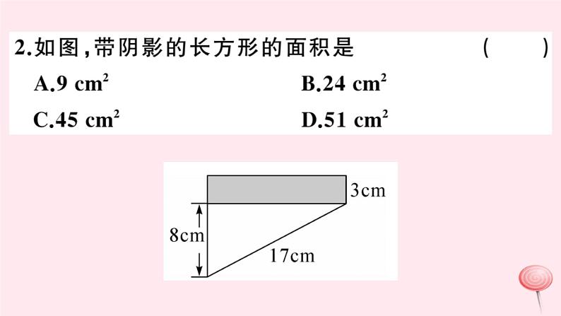 2019秋八年级数学上册第14章勾股定理本章热点专练习题课件03