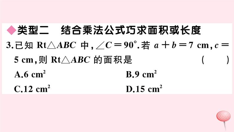 2019秋八年级数学上册解题技巧专题勾股定理与面积问题习题课件04