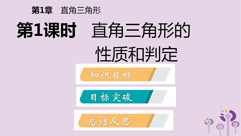 八年级下数学课件1-1   直角三角形的性质和判定(Ⅰ)_湘教版02