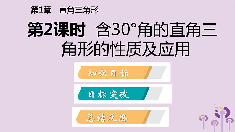 八年级下数学课件1-1  直角三角形的性质和判定(Ⅰ)_湘教版02