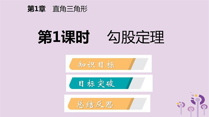 八年级下数学课件1-2    直角三角形的性质和判定(Ⅱ)_湘教版02