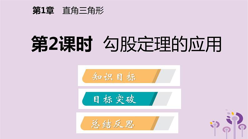 八年级下数学课件1-2 直角三角形的性质和判定(Ⅱ)_湘教版02