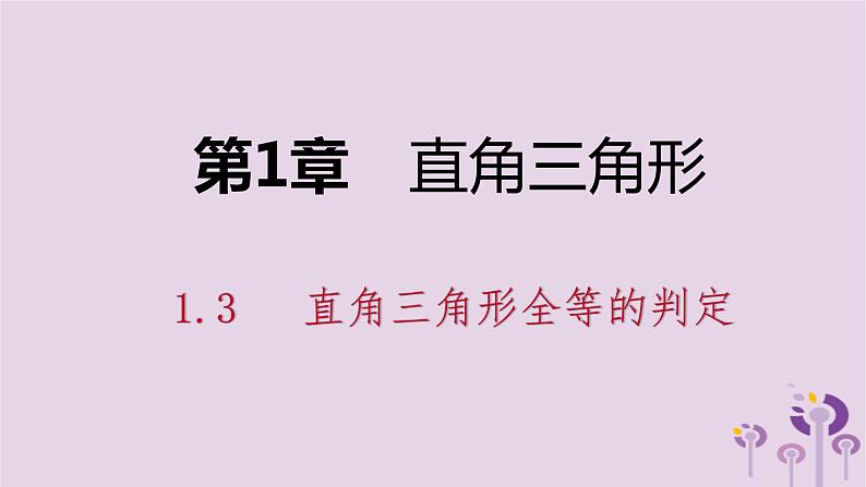 八年级下数学课件1-3   直角三角形全等的判定_湘教版01