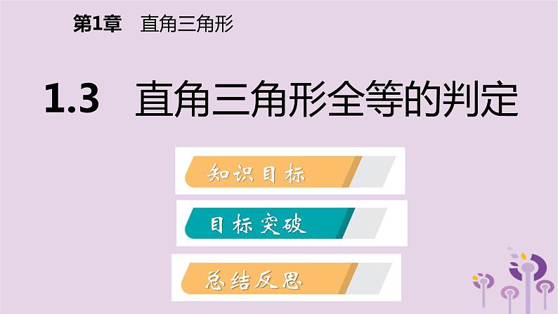 八年级下数学课件1-3   直角三角形全等的判定_湘教版02