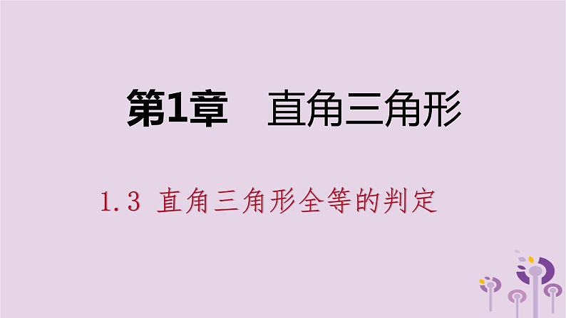 八年级下数学课件1-3 直角三角形全等的判定_湘教版01