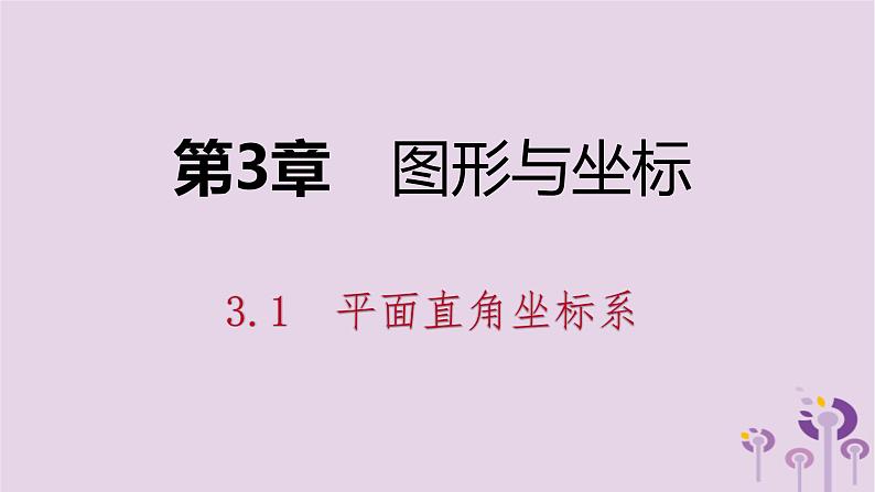 八年级下数学课件3-1  平面直角坐标系_湘教版01