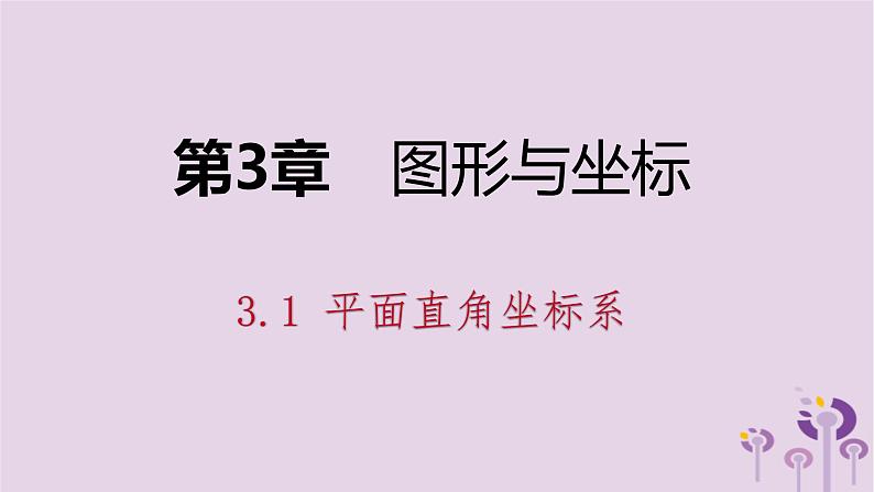 八年级下数学课件3-1 平面直角坐标系_湘教版01