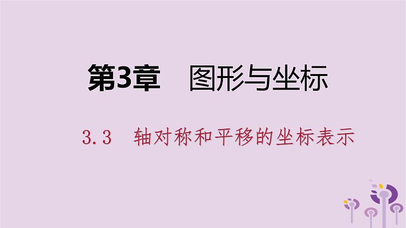 八年级下数学课件3-3   轴对称和平移的坐标表示_湘教版01