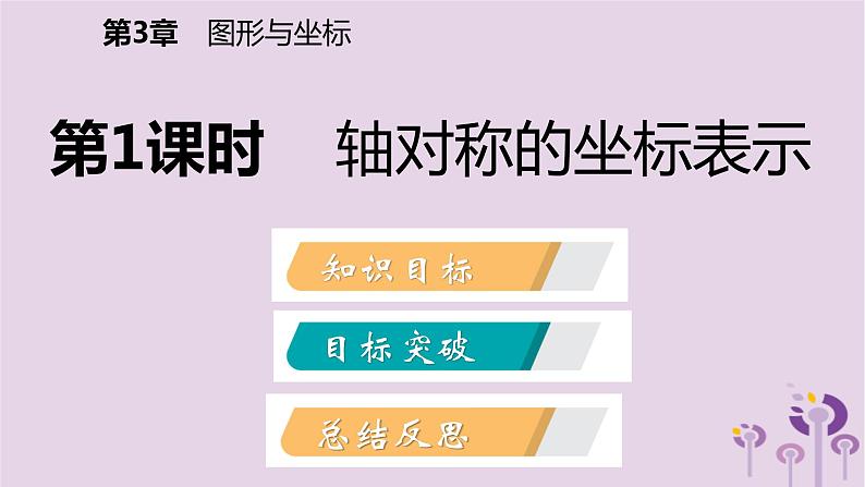 八年级下数学课件3-3   轴对称和平移的坐标表示_湘教版02