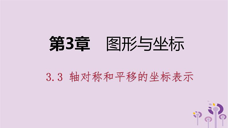 八年级下数学课件3-3 轴对称和平移的坐标表示_湘教版第1页