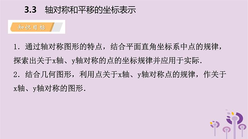 八年级下数学课件3-3 轴对称和平移的坐标表示_湘教版第3页