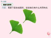 八年級數(shù)學(xué)上冊第2章三角形2-5全等三角形第1課時(shí)全等三角形及其性質(zhì)教學(xué)課件（新版）湘教版