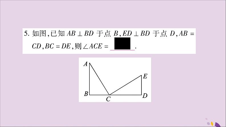 八年级数学上册第2章三角形2-5全等三角形第2课时全等三角形的判定（SAS）习题课件（新版）湘教版06