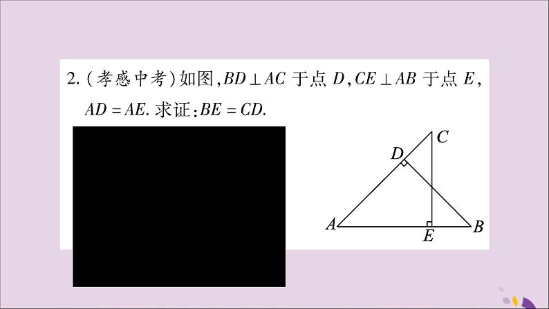 八年级数学上册第2章三角形2-5全等三角形小专题（6）全等三角形的判定方法与性质的巧用习题课件（新版）湘教版第3页