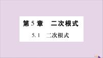 湘教版八年级上册5.1 二次根式习题ppt课件