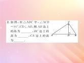 2019秋八年级数学上册第2章三角形2-1三角形（第2课时三角形的高、中线和角平分线）习题课件（新版）湘教版