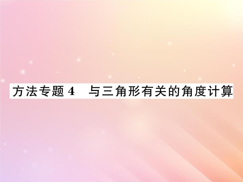 2019秋八年级数学上册方法专题4与三角形有关的角度计算习题课件（新版）湘教版01