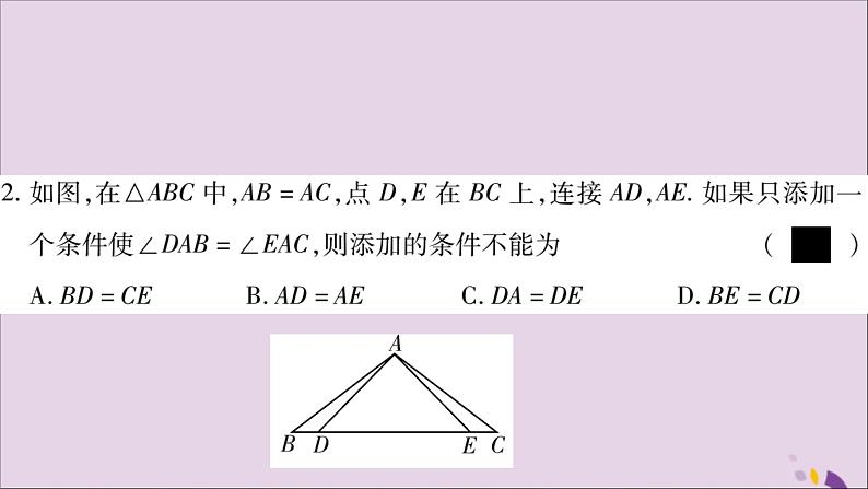 八年级数学上册第2章三角形2-5全等三角形第6课时全等三角形的性质与判定的综合运用习题课件（新版）湘教版04